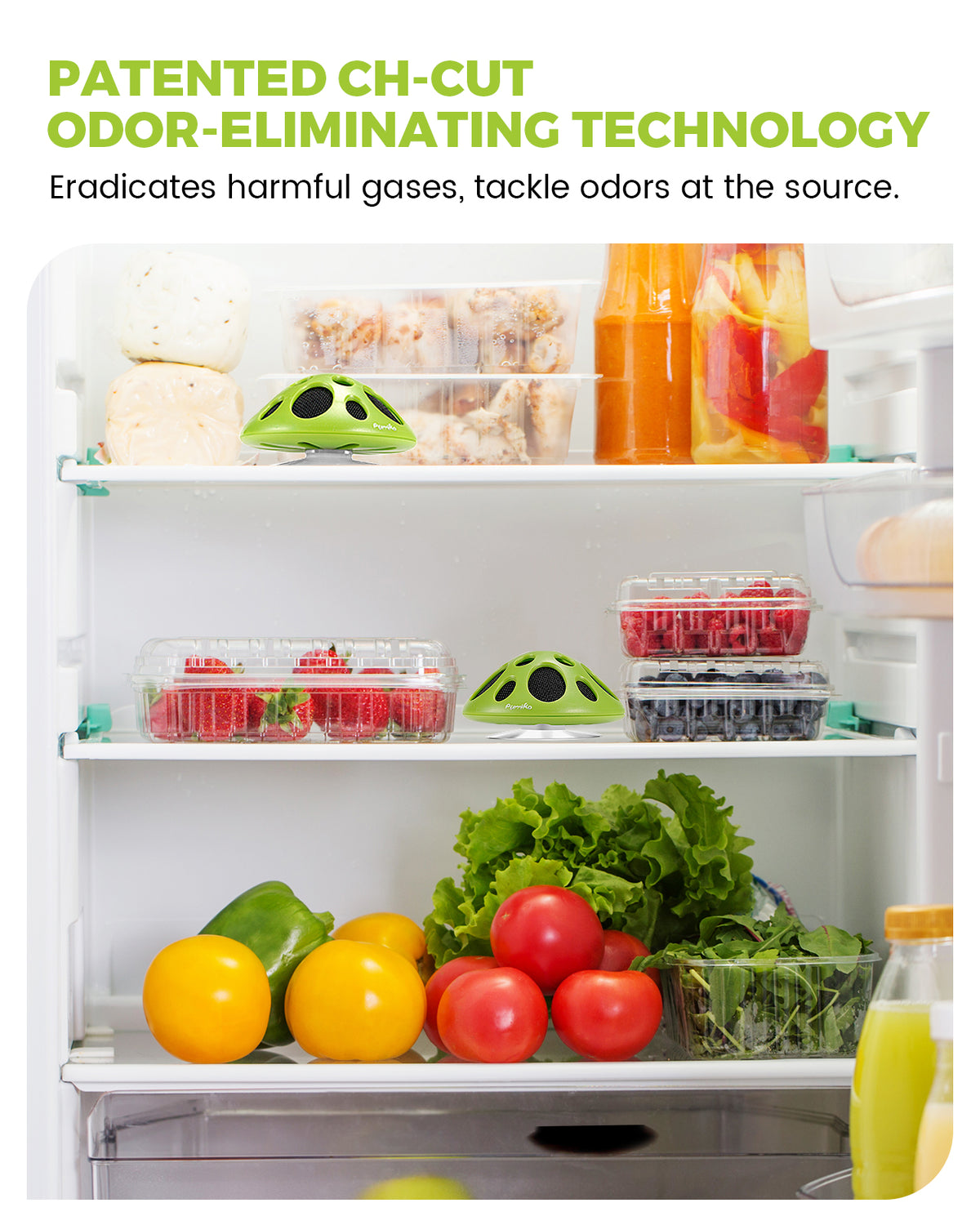 Fridge Deodorizer,Last for 10 Years,Refrigerator Odor Eliminator,Fridg ...