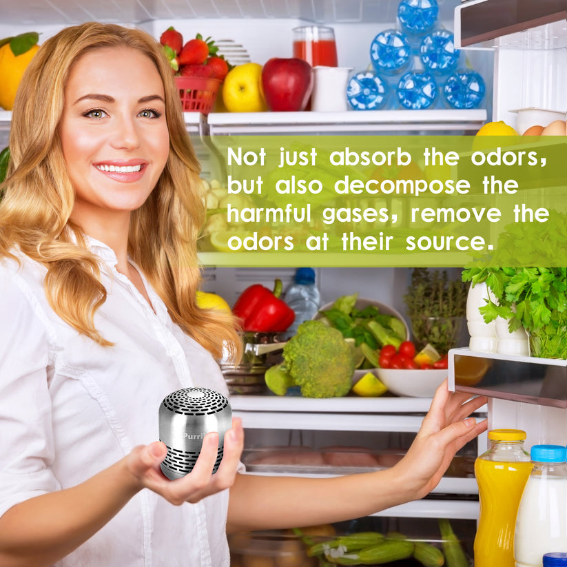 Refrigerator Deodorizer,Lasts for 10 Years,Refrigerator Odor Eliminato ...